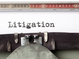 Litigation Services